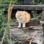 - Kleine Alte Am