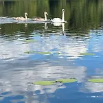 - Kleine Alte Am