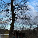 - Kleine Alte Am Bestensee