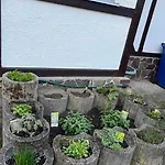 - Kleine Alte Am Tatil Evi Bestensee