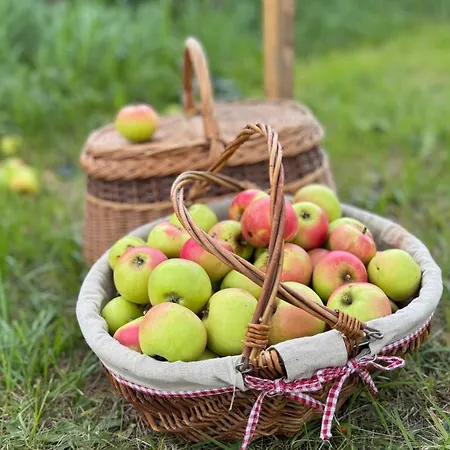 - Kleine Alte Am Holiday home *