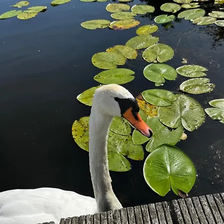 - Kleine Alte Am Bestensee
