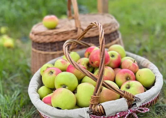 - Kleine Alte Am Σπίτι διακοπών *